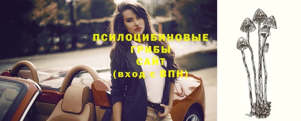 мдма Богданович