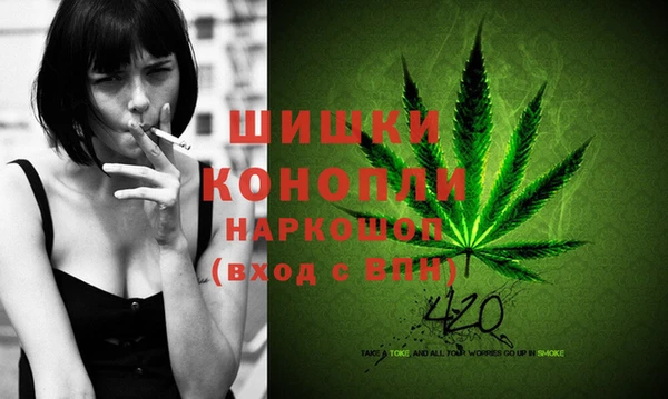 тгк Богородск